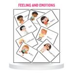 Expressions and Emotions Flashcards 24 Cards