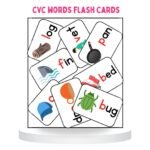 CVC Words Flashcards 24 Cards